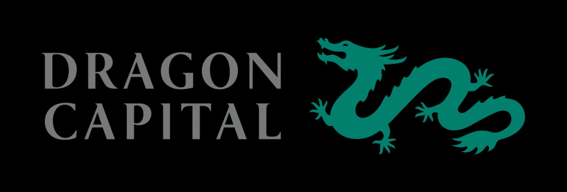 Dragoncapital Financial Partner Logo