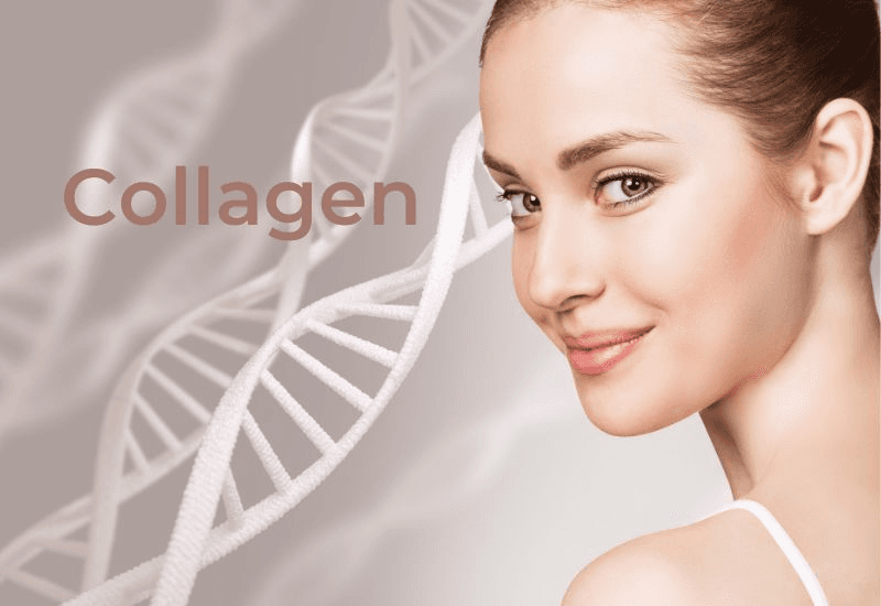 Bật mí top 6 collagen cho tuổi 30 giúp trẻ hoá làn da, chống lão hoá thần tốc