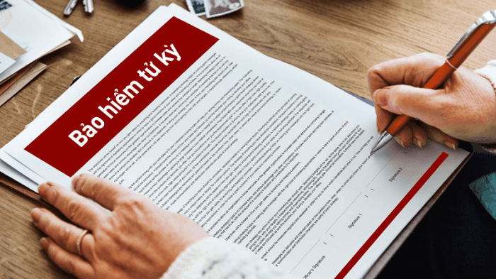 Bảo hiểm tử kỳ là gì? 5 điều phải biết khi mua bảo hiểm tử kỳ