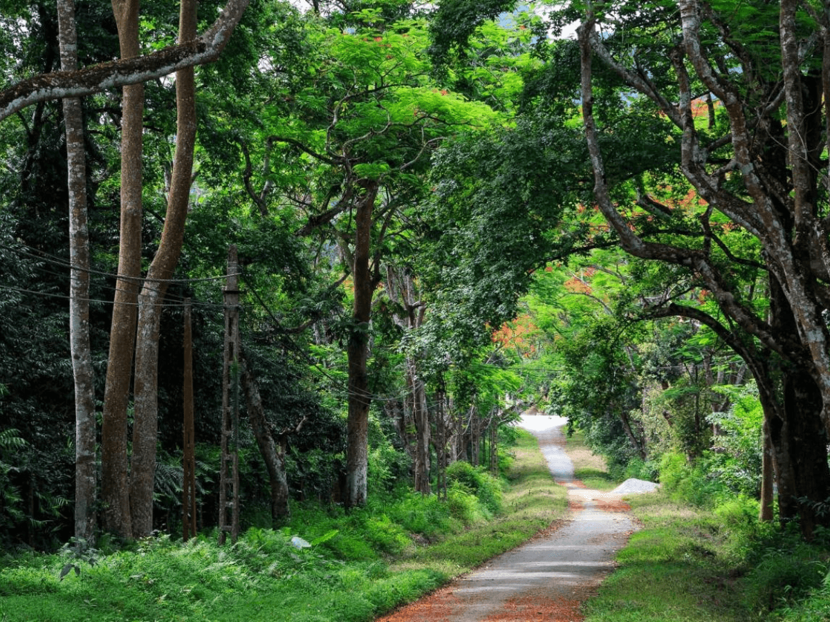 Du lịch 1 ngày nên đi đâu gần Hà Nội? Top 10+ toạ độ chữa lành cực chill dịp cuối tuần